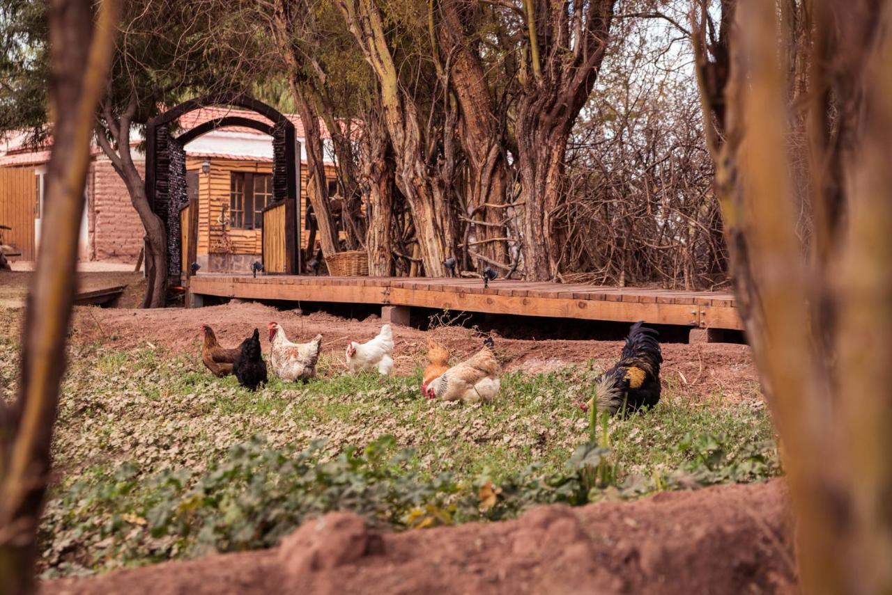Lodge Atacama Horse San Pedro de Atacama Exterior photo